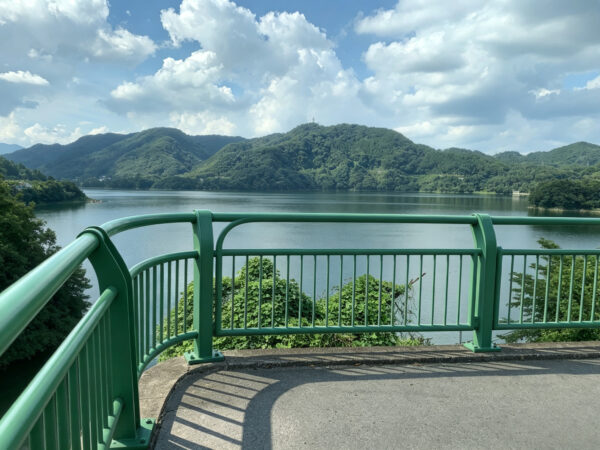 River Guardrail Manufacturer | Custom Steel Riverside Safety Railing