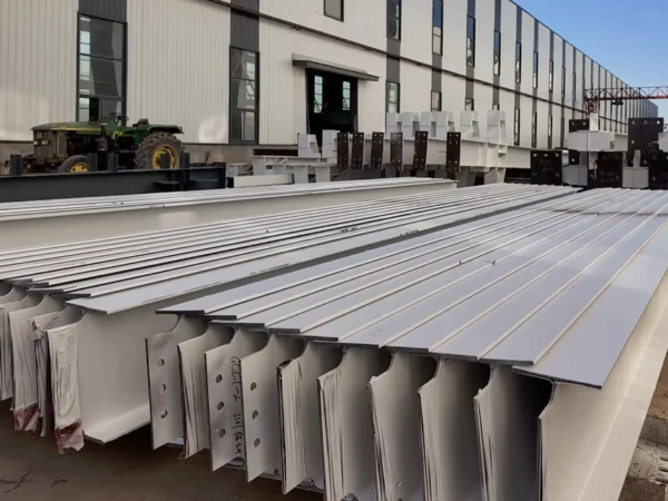 Traffic-Safety-Facilities16-3 Large Span Steel Structure Building for Warehouse & Factory