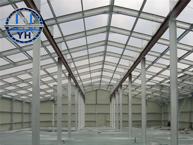 Long Span Steel Building with Custom Roof System
