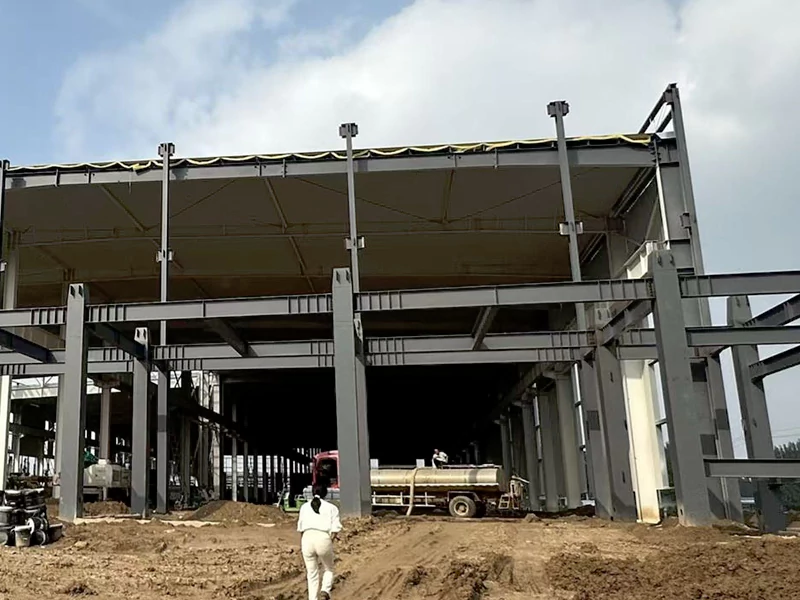 Prefabricated Steel Structure Poultry Farm Building
